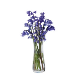 Florabundance Bluebell Vase