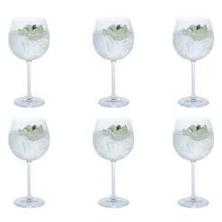 Gin Copa Party, Set Of 6