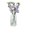 Small Clear Marguerite Vase