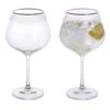 Gatsby Copa Gin & Tonic, Set Of 2 -DRINKWARE Sales Store microsoftteams image 10