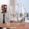Rachael Champagne Flute 1 Rachael Champagne Flute -DRINKWARE Sales Store rachael mood shot high res 2