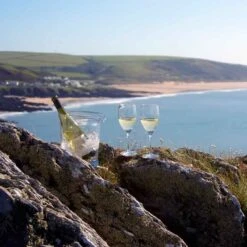 Wine Master White Wine Glass, Set Of 2 -DRINKWARE Sales Store st1402 p mood