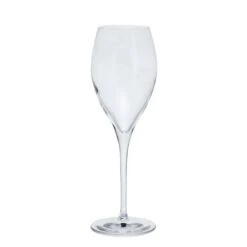 Prosecco Party, Set Of 6 -DRINKWARE Sales Store st3171 2 6pk prosecco party cutout co lr 1