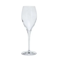 Prosecco Party, Set Of 6 -DRINKWARE Sales Store st3171 2 6pk prosecco party cutout co lr