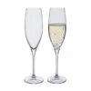 Wine Master Flute Champagne Glass, Set Of 2 -DRINKWARE Sales Store wm flute
